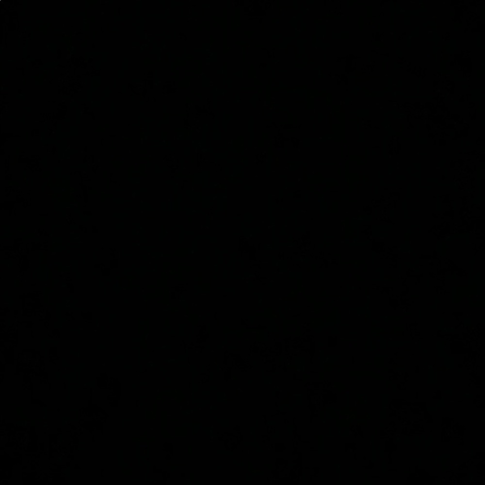 Meet your Posher, Arianna